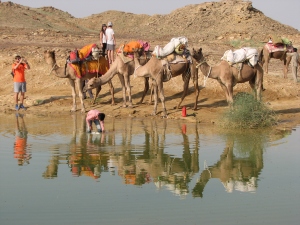 A mediamañana del primer día paramos en un estanque para que los camellos bebieran.